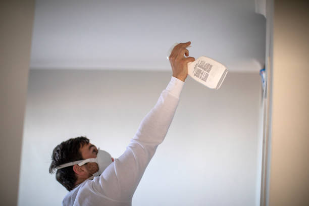 Leonville, LA Mold Removal Company