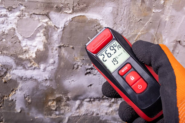 Best Local Mold Removal Service  in Leonville, LA