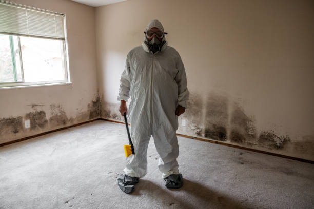 Best Local Mold Removal Service  in Leonville, LA